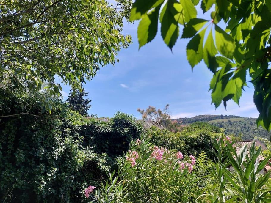 Vue De Rennes-Le-Chateau Couiza Exteriér fotografie